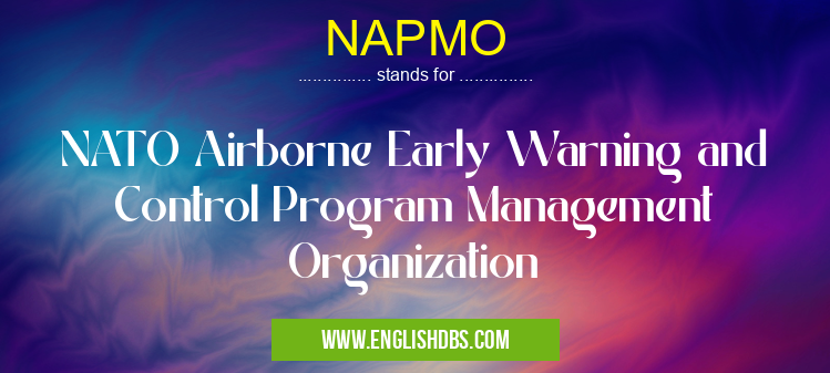 NAPMO means NATO Airborne Early Warning and Control Program Management Organization NAPMO