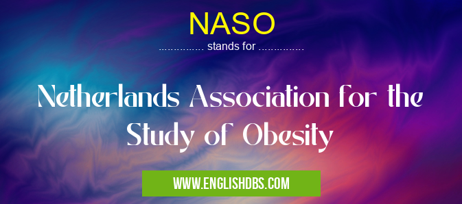NASO means Netherlands Association for the Study of Obesity NASO