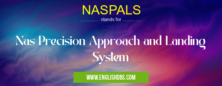 NASPALS means Nas Precision Approach and Landing System NASPALS