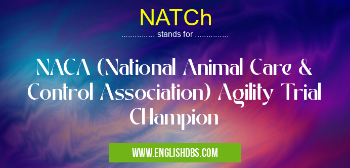 NATCh means NACA (National Animal Care & Control Association) Agility Trial CHampion NATCh
