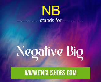 NB means Negative Big NB