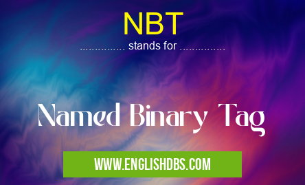 NBT means Named Binary Tag NBT