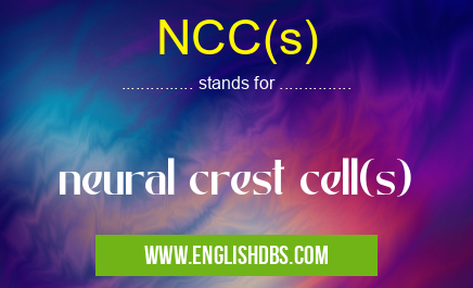 NCC(s) means neural crest cell(s) NCC(s)