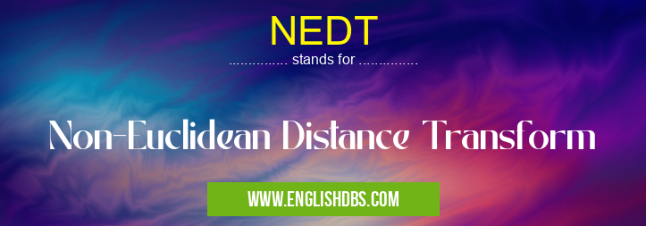 NEDT means Non-Euclidean Distance Transform NEDT