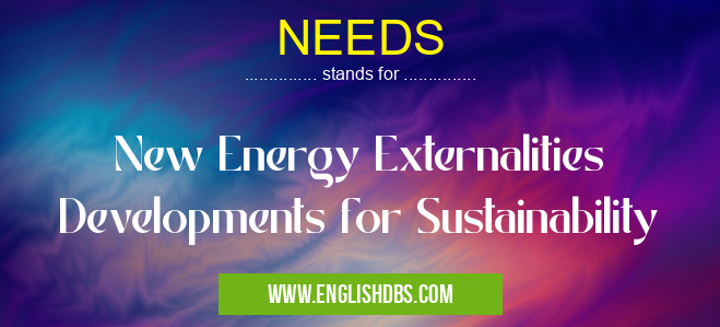 NEEDS means New Energy Externalities Developments for Sustainability NEEDS