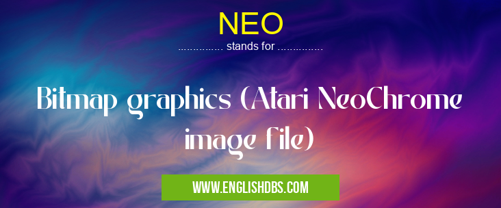 NEO means Bitmap graphics (Atari NeoChrome image file) NEO