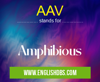 AAV means Amphibious AAV