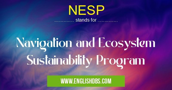 NESP means Navigation and Ecosystem Sustainability Program NESP