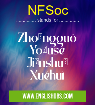 NFSoc means Zhōngguó Yǒusè Jīnshǔ Xuéhuì NFSoc