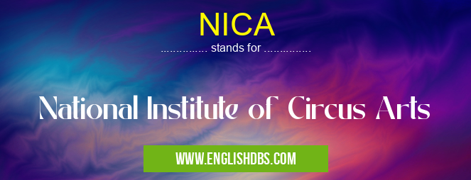 NICA means National Institute of Circus Arts NICA