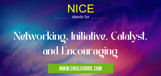 NICE means Networking, Initiative, Catalyst, and Encouraging NICE