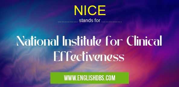 NICE means National Institute for Clinical Effectiveness NICE