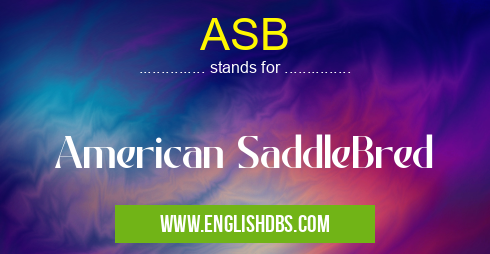 ASB means American SaddleBred ASB