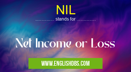 NIL means Net Income or Loss NIL