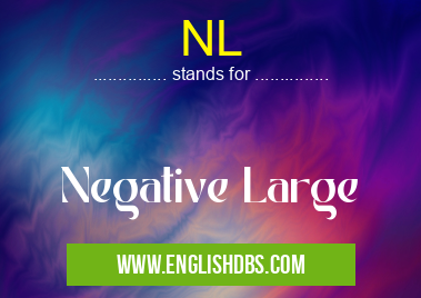 NL means Negative Large NL