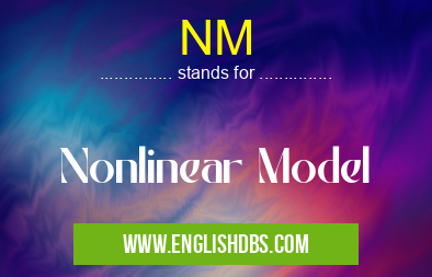 NM means Nonlinear Model NM