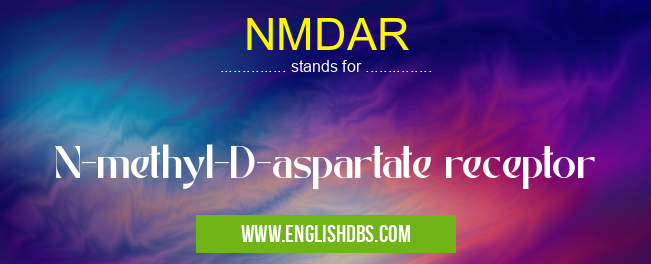 NMDAR means N-methyl-D-aspartate receptor NMDAR
