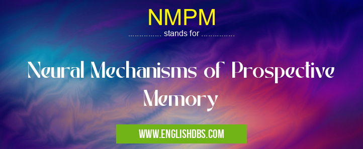 NMPM means Neural Mechanisms of Prospective Memory NMPM