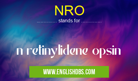 NRO means n retinylidene opsin NRO