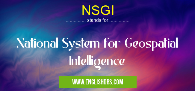 NSGI means National System for Geospatial Intelligence NSGI