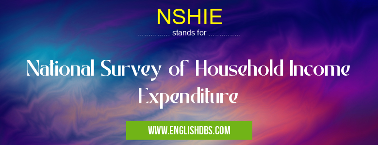 NSHIE means National Survey of Household Income Expenditure NSHIE