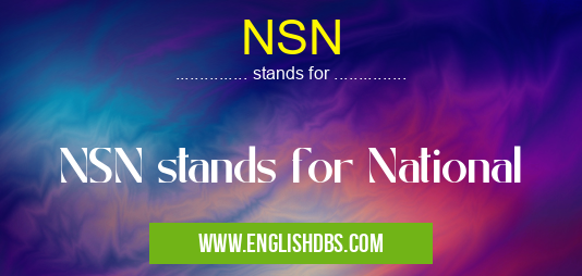 NSN means NSN stands for National NSN