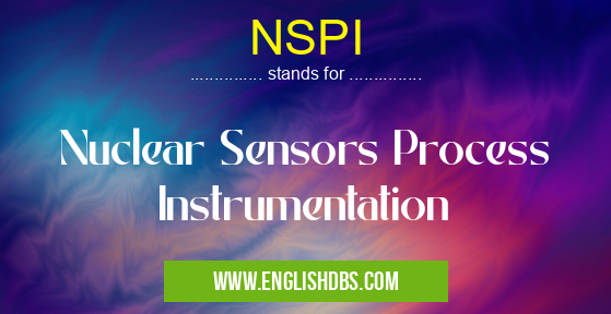 NSPI means Nuclear Sensors Process Instrumentation NSPI