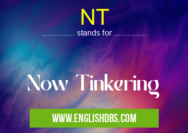 NT means Now Tinkering NT