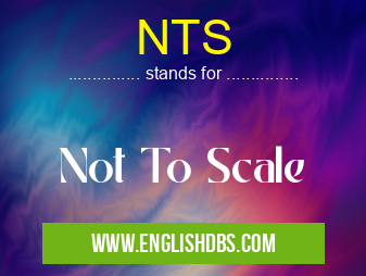 NTS means Not To Scale NTS