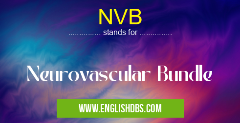 NVB means Neurovascular Bundle NVB