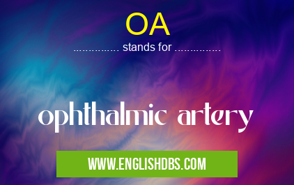 OA means ophthalmic artery OA