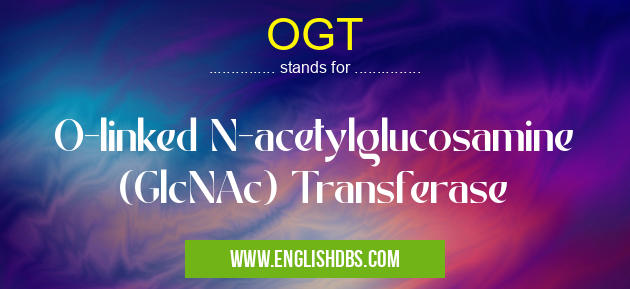 OGT means O-linked N-acetylglucosamine (GlcNAc) Transferase OGT