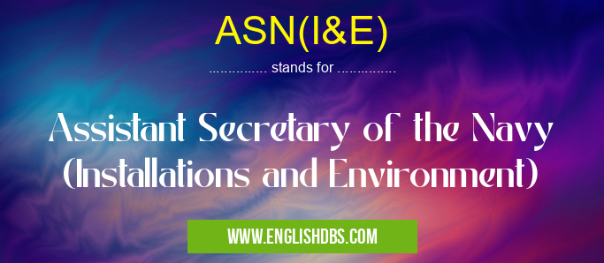 ASN(I&E) means Assistant Secretary of the Navy (Installations and Environment) ASN(I&E)