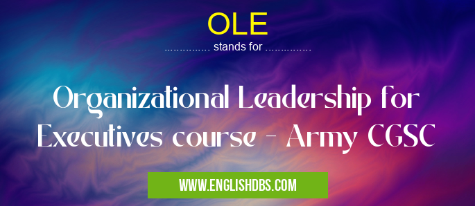 OLE means Organizational Leadership for Executives course - Army CGSC OLE