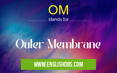 OM means Outer Membrane OM
