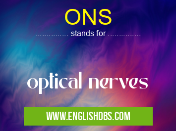 ONS means optical nerves ONS