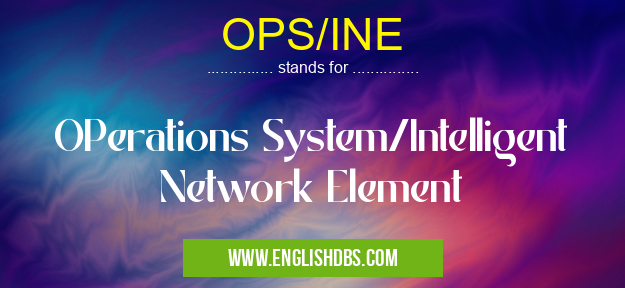 OPS/INE means OPerations System/Intelligent Network Element OPS/INE