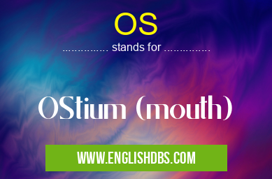 OS means OStium (mouth) OS