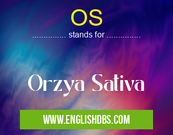OS means Orzya Sativa OS