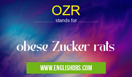 OZR means obese Zucker rats OZR