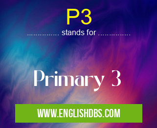 P3 means Primary 3 P3
