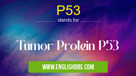 P53 means Tumor Protein P53 P53