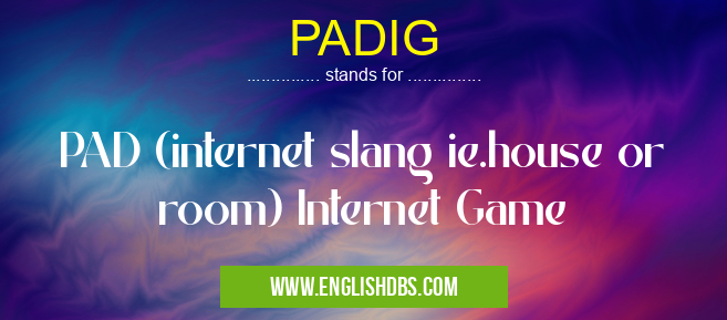 PADIG means PAD (internet slang ie.house or room) Internet Game PADIG