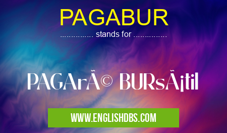 PAGABUR means PAGAré BURsátil PAGABUR