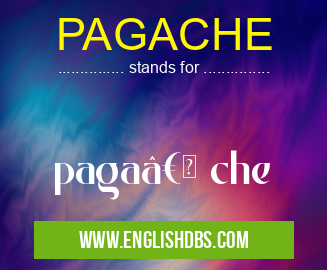 PAGACHE means paga†che PAGACHE