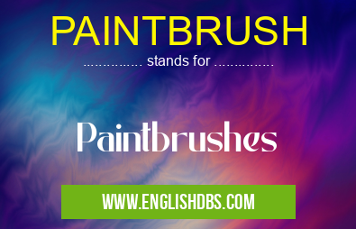 PAINTBRUSH means Paintbrushes PAINTBRUSH