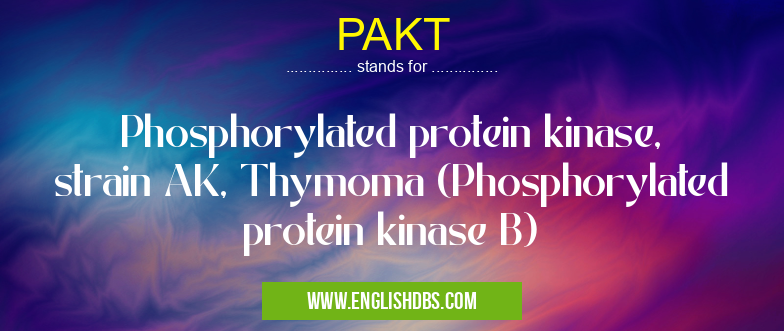 PAKT means Phosphorylated protein kinase, strain AK, Thymoma (Phosphorylated protein kinase B) PAKT