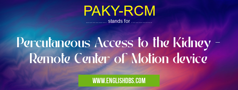 PAKY-RCM means Percutaneous Access to the Kidney - Remote Center of Motion device PAKY-RCM