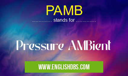 PAMB means Pressure AMBient PAMB
