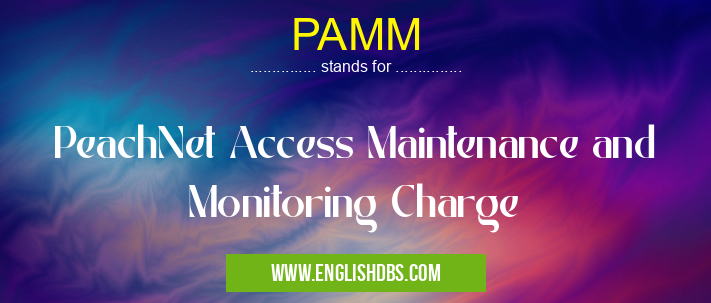 PAMM means PeachNet Access Maintenance and Monitoring Charge PAMM